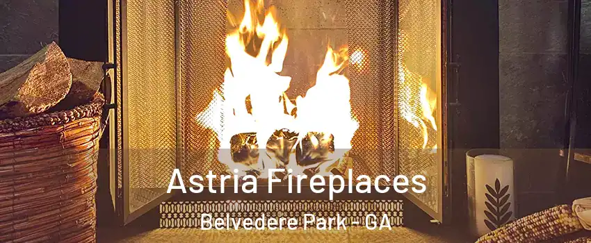  Astria Fireplaces Belvedere Park - GA