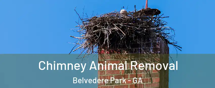  Chimney Animal Removal Belvedere Park - GA