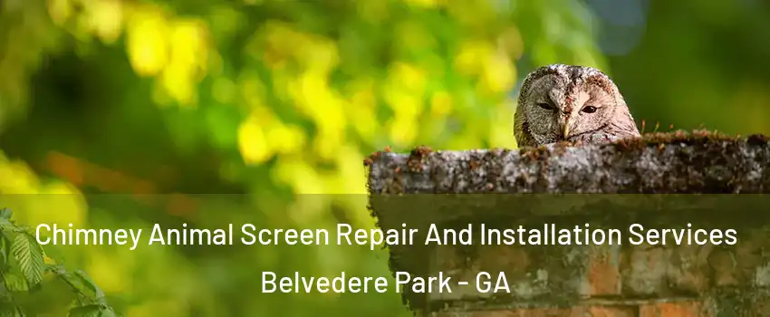  Chimney Animal Screen Repair And Installation Services Belvedere Park - GA