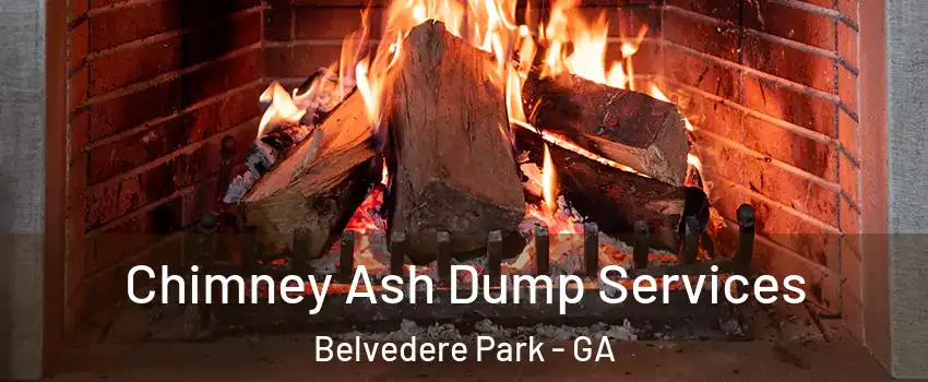  Chimney Ash Dump Services Belvedere Park - GA