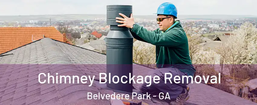  Chimney Blockage Removal Belvedere Park - GA