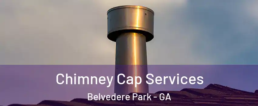  Chimney Cap Services Belvedere Park - GA