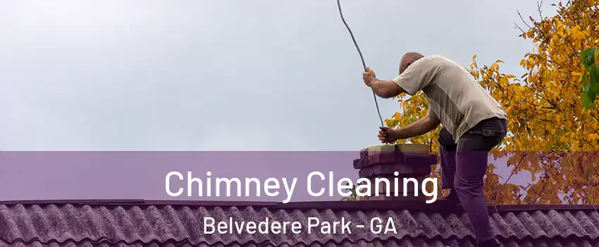  Chimney Cleaning Belvedere Park - GA