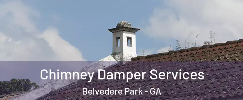 Chimney Damper Services Belvedere Park - GA