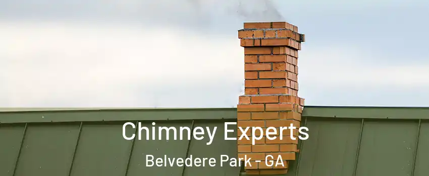  Chimney Experts Belvedere Park - GA