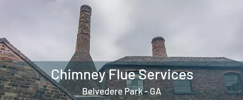  Chimney Flue Services Belvedere Park - GA