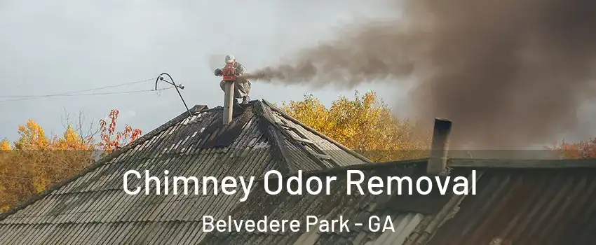  Chimney Odor Removal Belvedere Park - GA