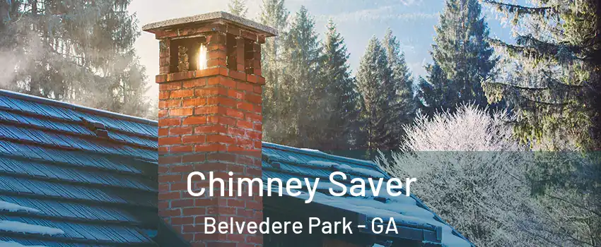  Chimney Saver Belvedere Park - GA