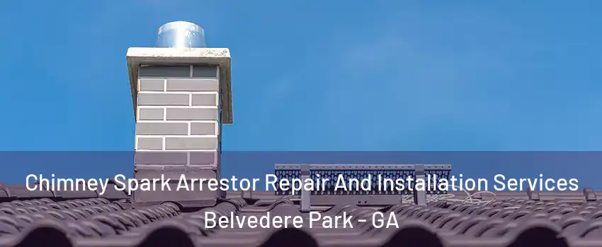  Chimney Spark Arrestor Repair And Installation Services Belvedere Park - GA