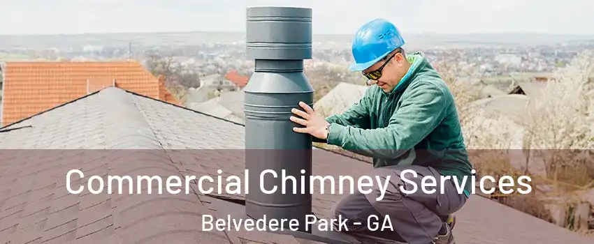  Commercial Chimney Services Belvedere Park - GA