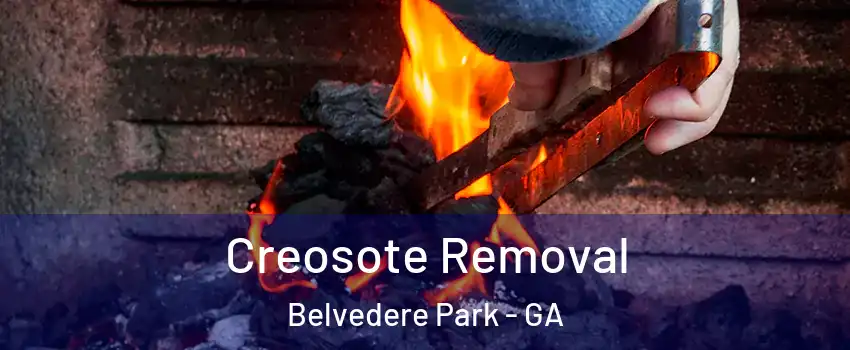  Creosote Removal Belvedere Park - GA
