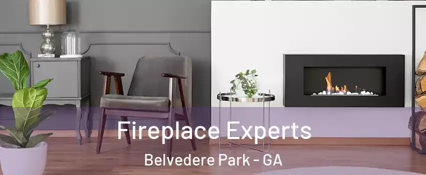  Fireplace Experts Belvedere Park - GA