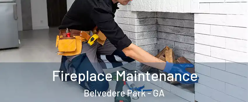  Fireplace Maintenance Belvedere Park - GA