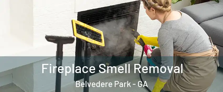  Fireplace Smell Removal Belvedere Park - GA