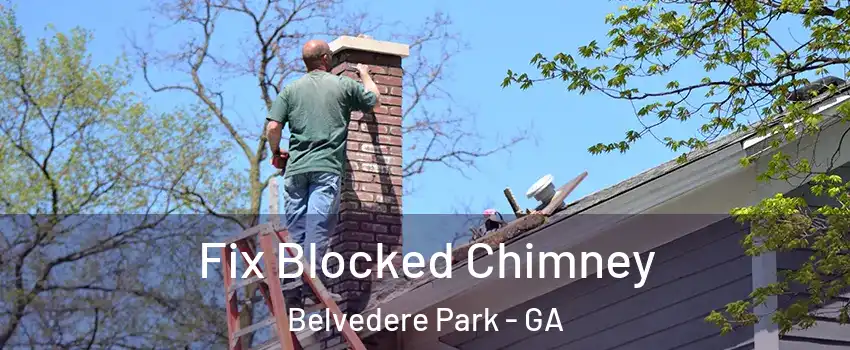  Fix Blocked Chimney Belvedere Park - GA
