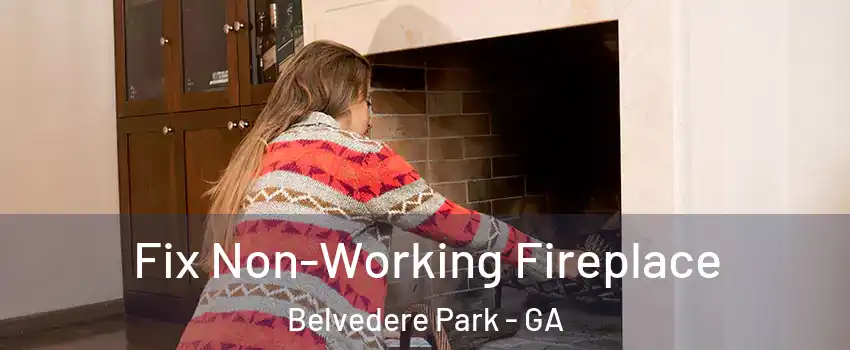  Fix Non-Working Fireplace Belvedere Park - GA