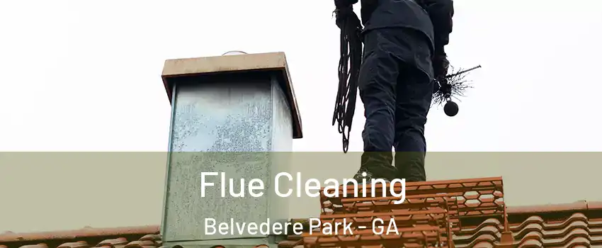 Flue Cleaning Belvedere Park - GA