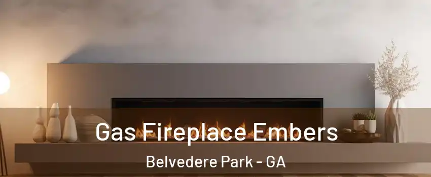  Gas Fireplace Embers Belvedere Park - GA