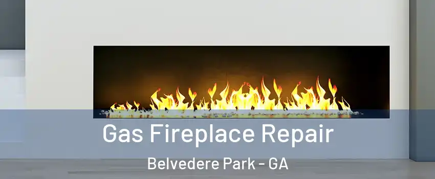  Gas Fireplace Repair Belvedere Park - GA
