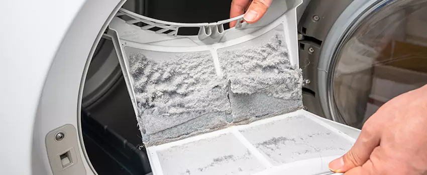 Best Dryer Lint Removal Company in Belvedere Park, Georgia