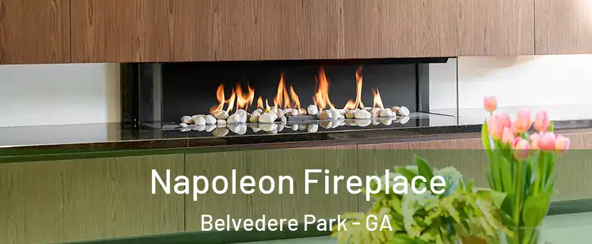 Napoleon Fireplace Belvedere Park - GA
