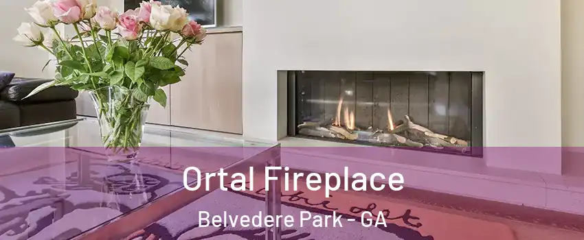  Ortal Fireplace Belvedere Park - GA