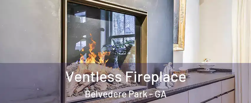  Ventless Fireplace Belvedere Park - GA