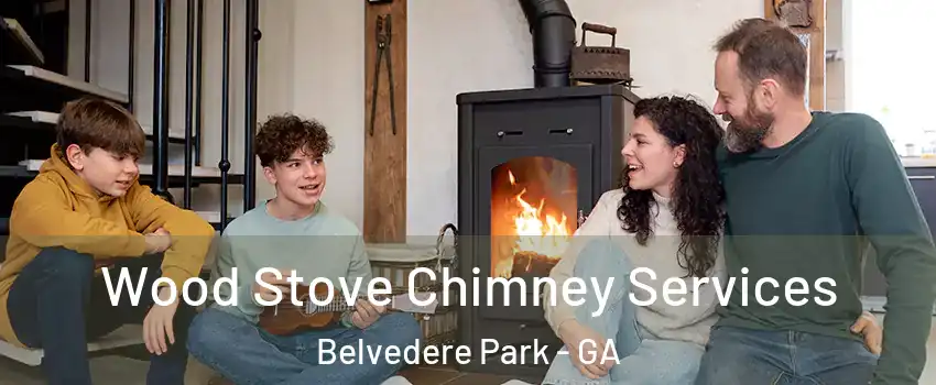  Wood Stove Chimney Services Belvedere Park - GA